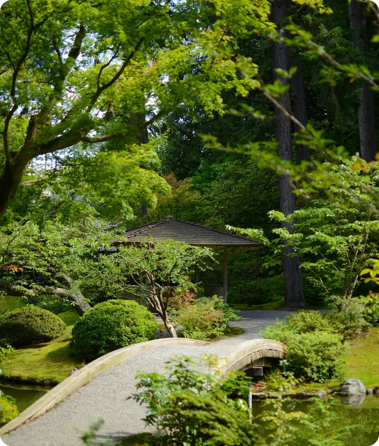 Stone arched bridge leading to a small gazebo surrounded by lush greenery and trees in a tranquil garden.