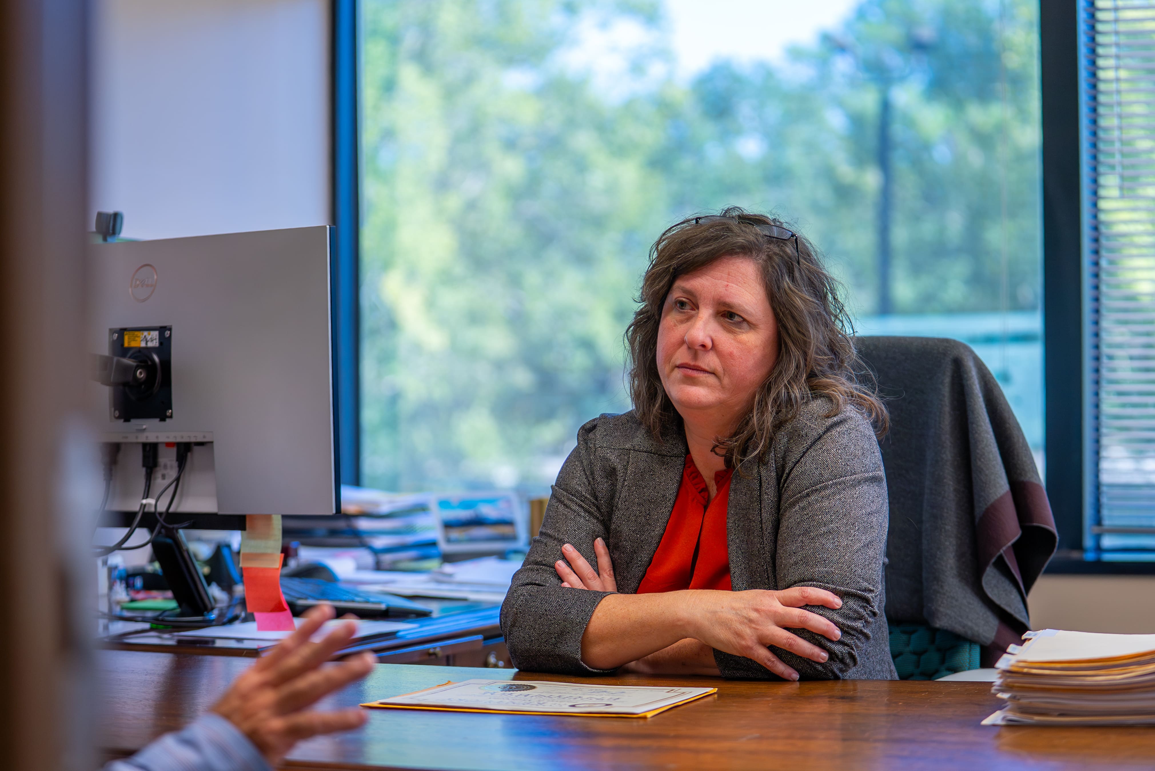 Fire Sprinkler Design