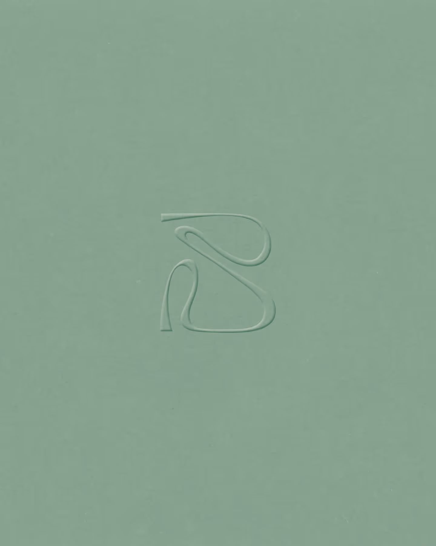 Park Academy, Visual Identity by Zita Fernandez