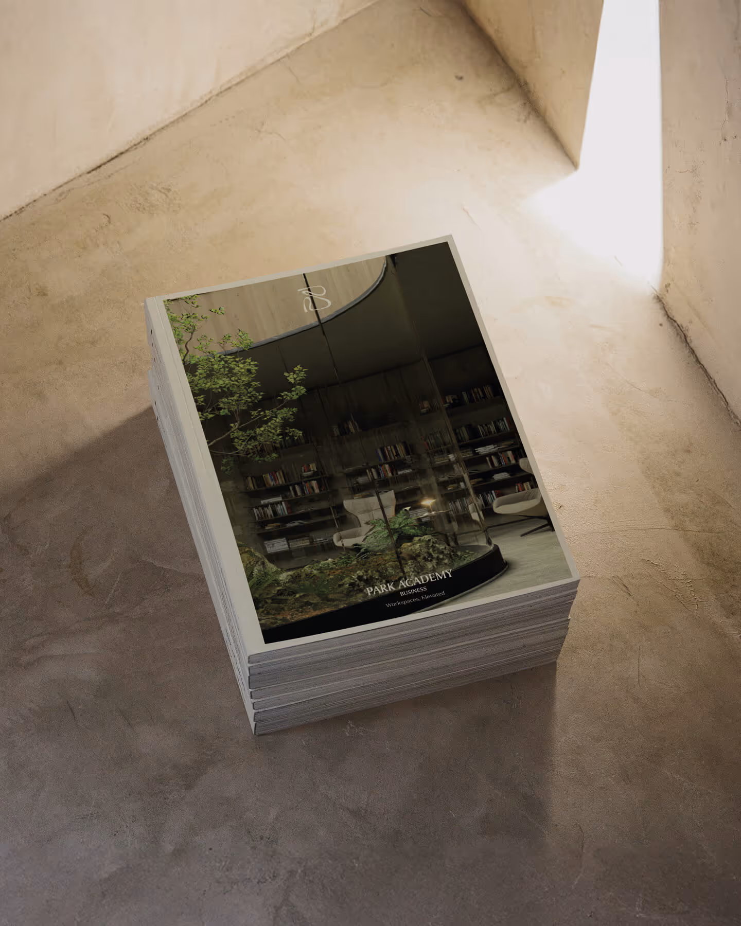 Park Academy, Visual Identity by Zita Fernandez