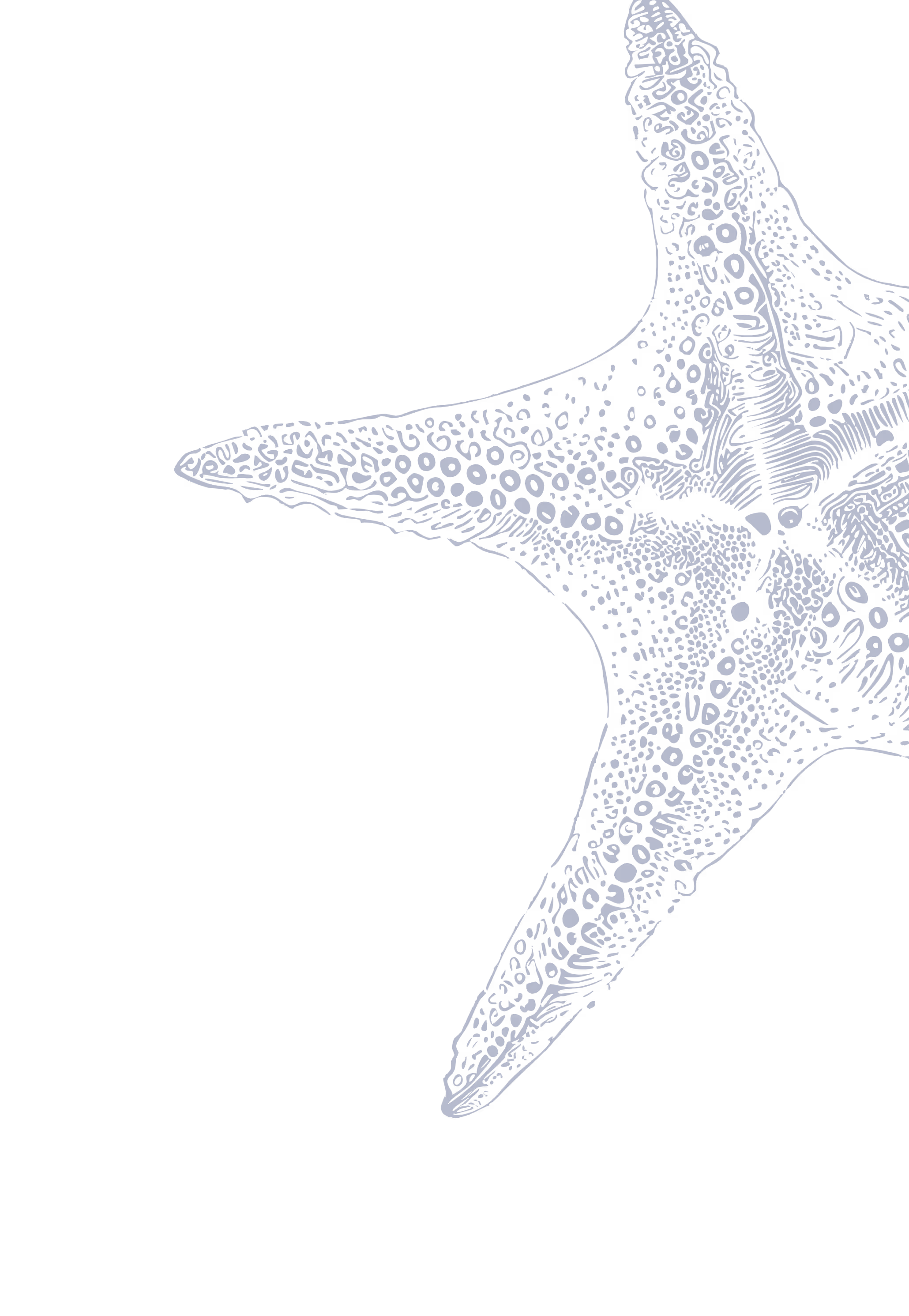 Detailed blue illustration of a starfish against a black background, showing textured patterns on its arms.