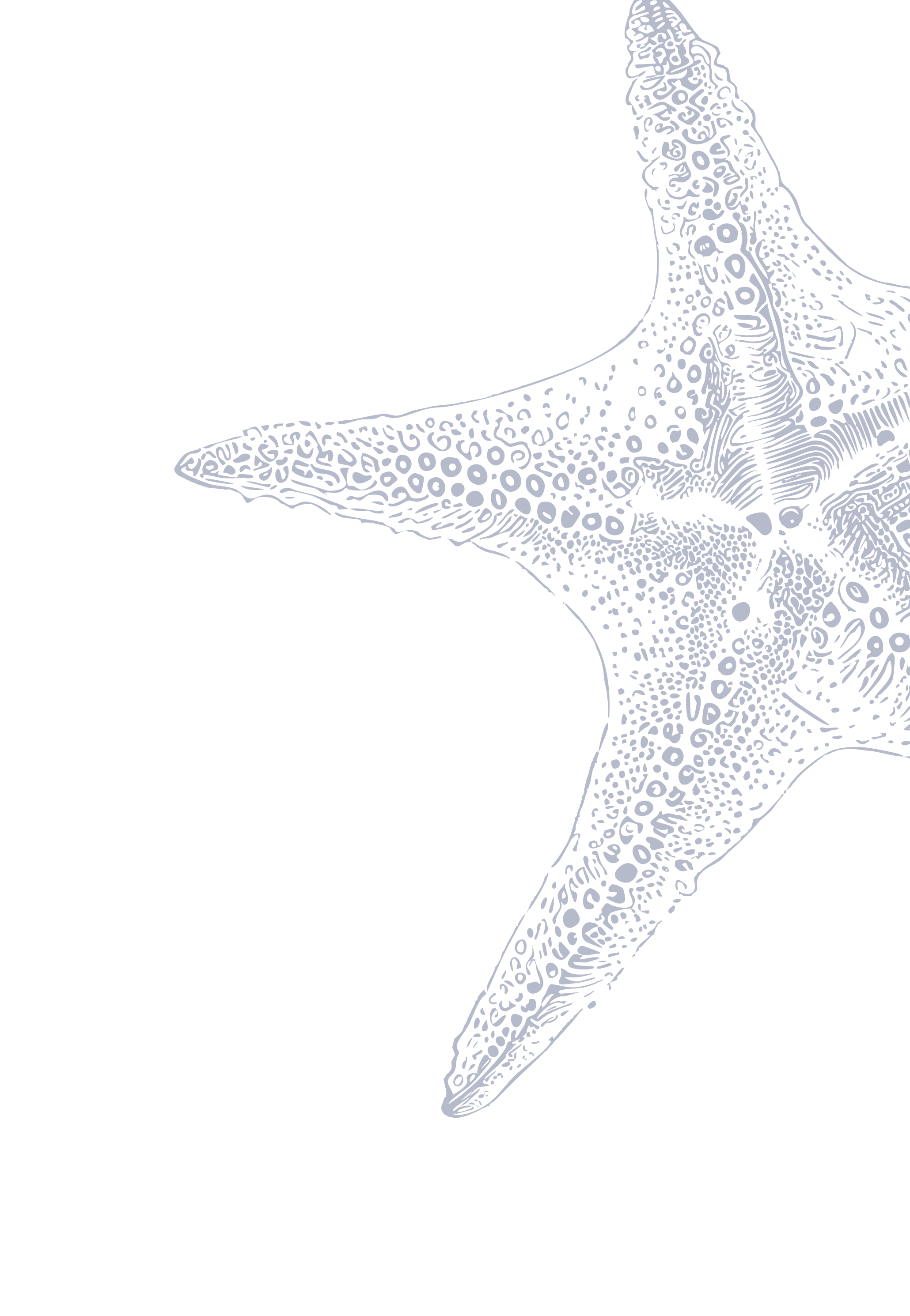Detailed blue illustration of a starfish against a black background, showing textured patterns on its arms.