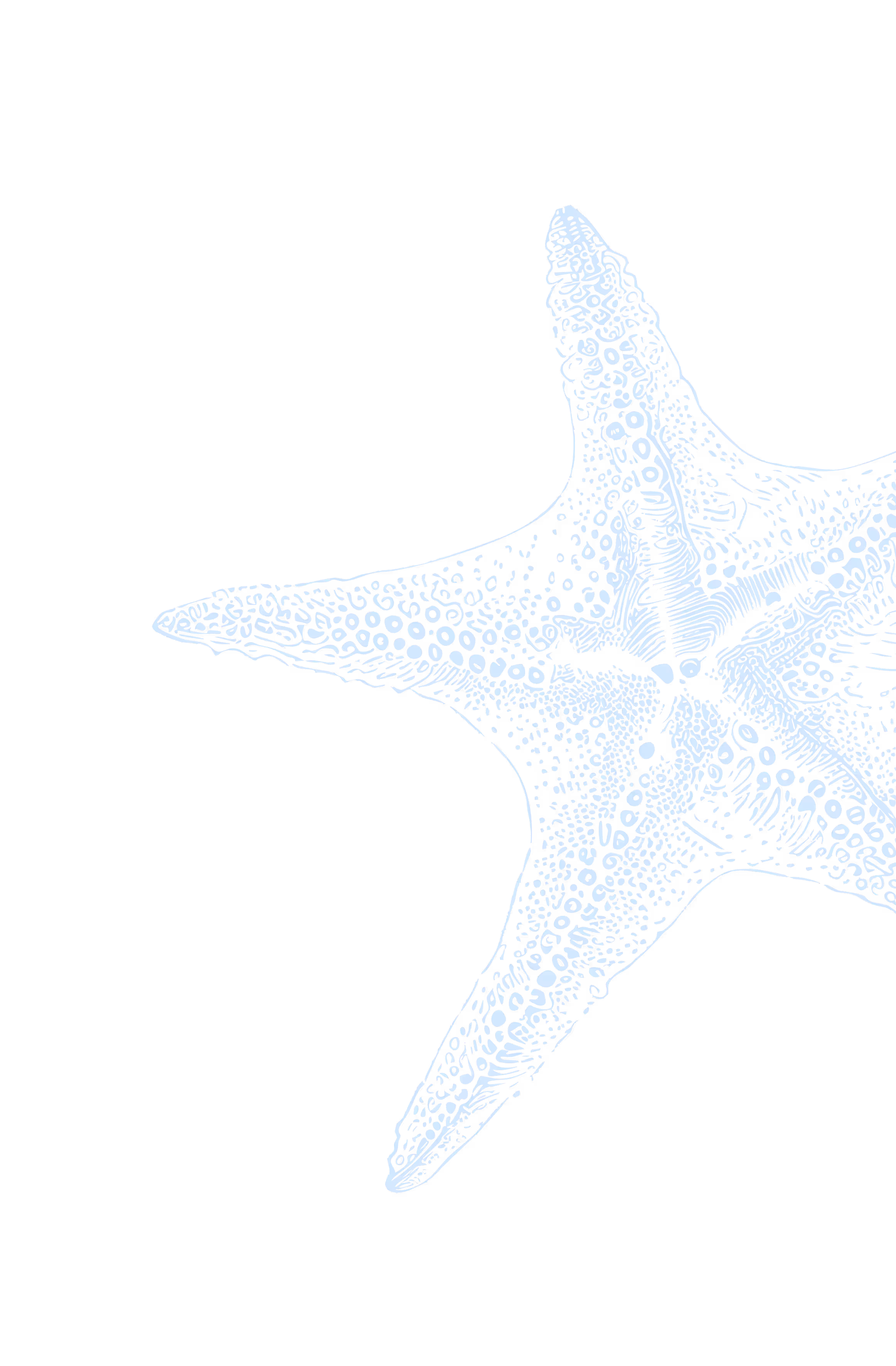 Detailed blue starfish illustration with intricate patterns on a black background.