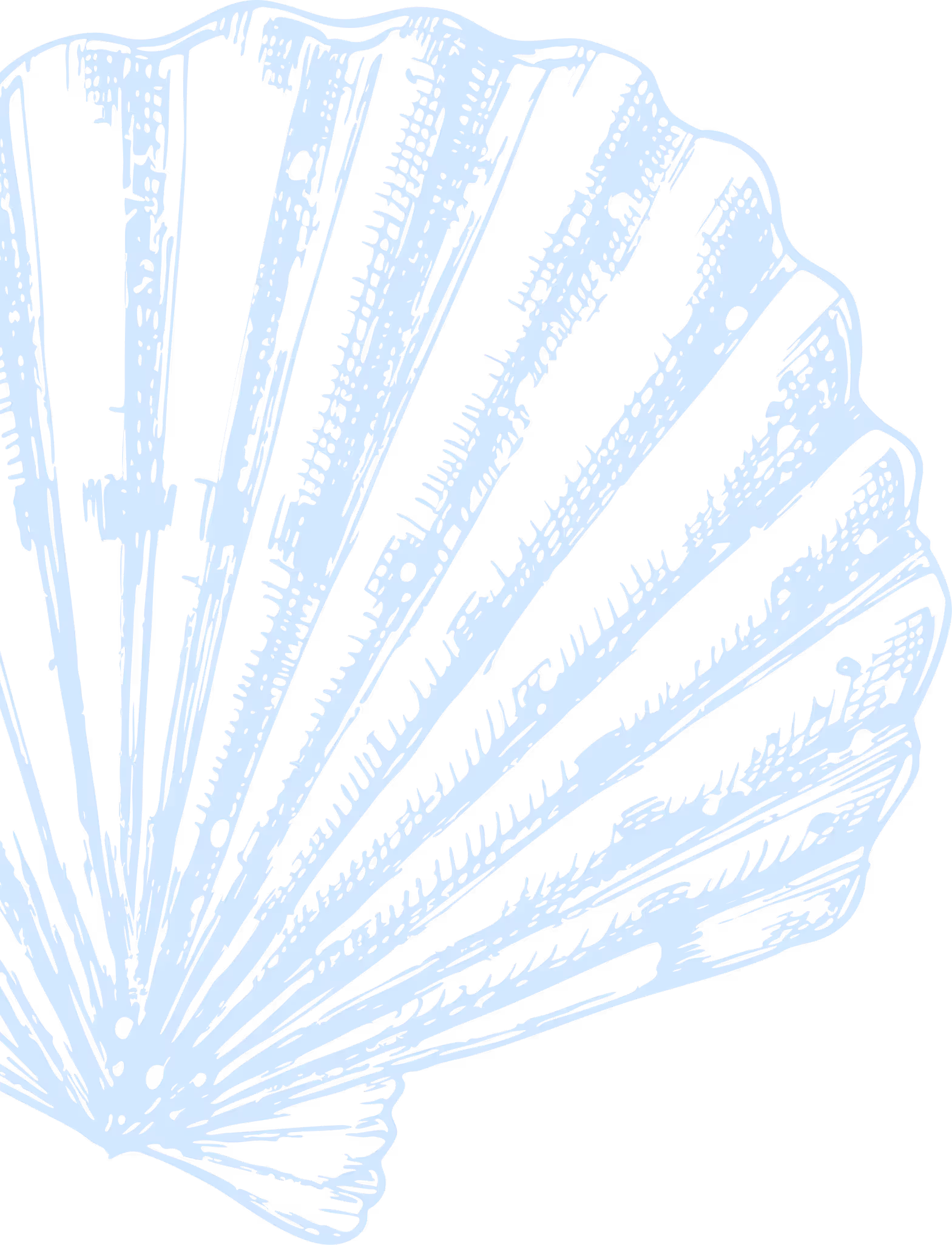 Illustration of a light blue scallop shell with detailed ridges on a transparent background.