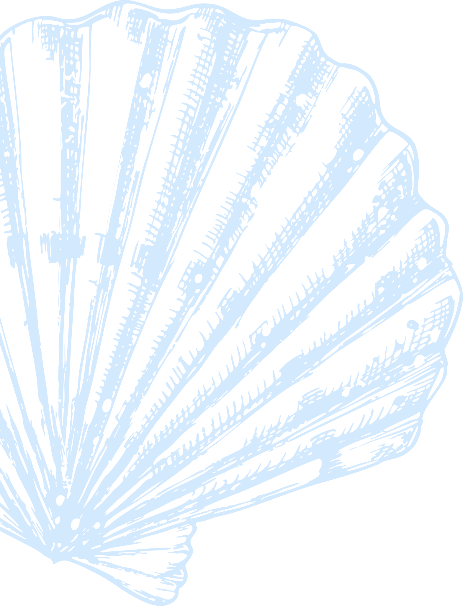 Illustration of a light blue scallop shell with detailed ridges on a transparent background.