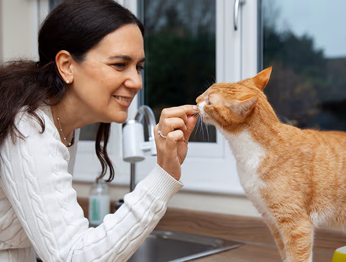 Service Single Image