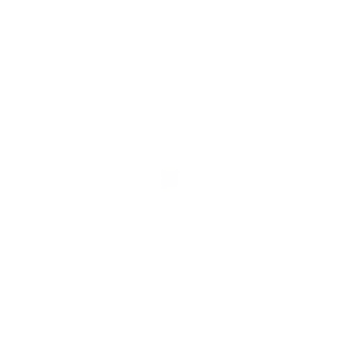 White eight-pointed starburst shape on a black background.