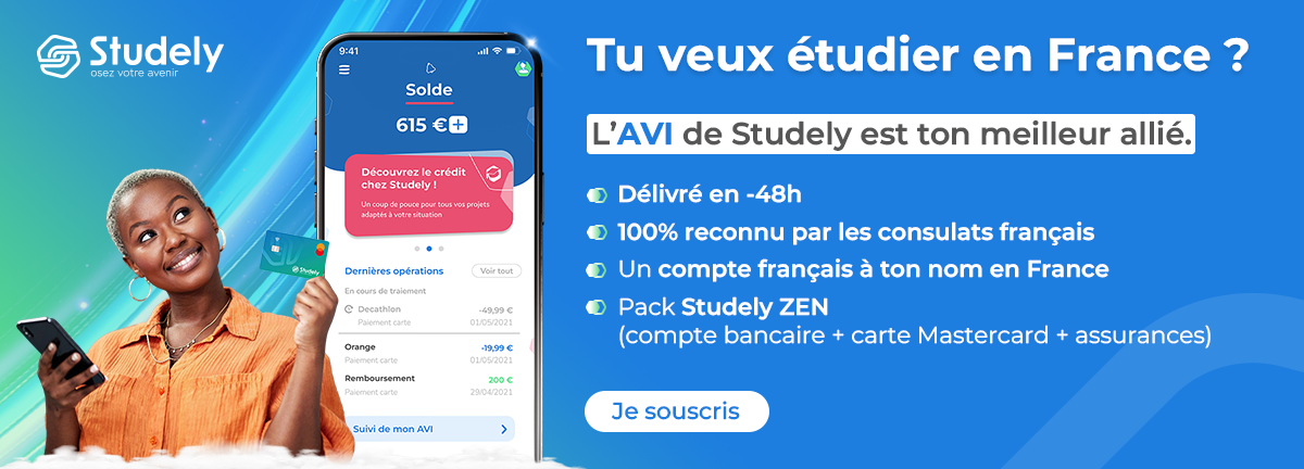 AVI études en France