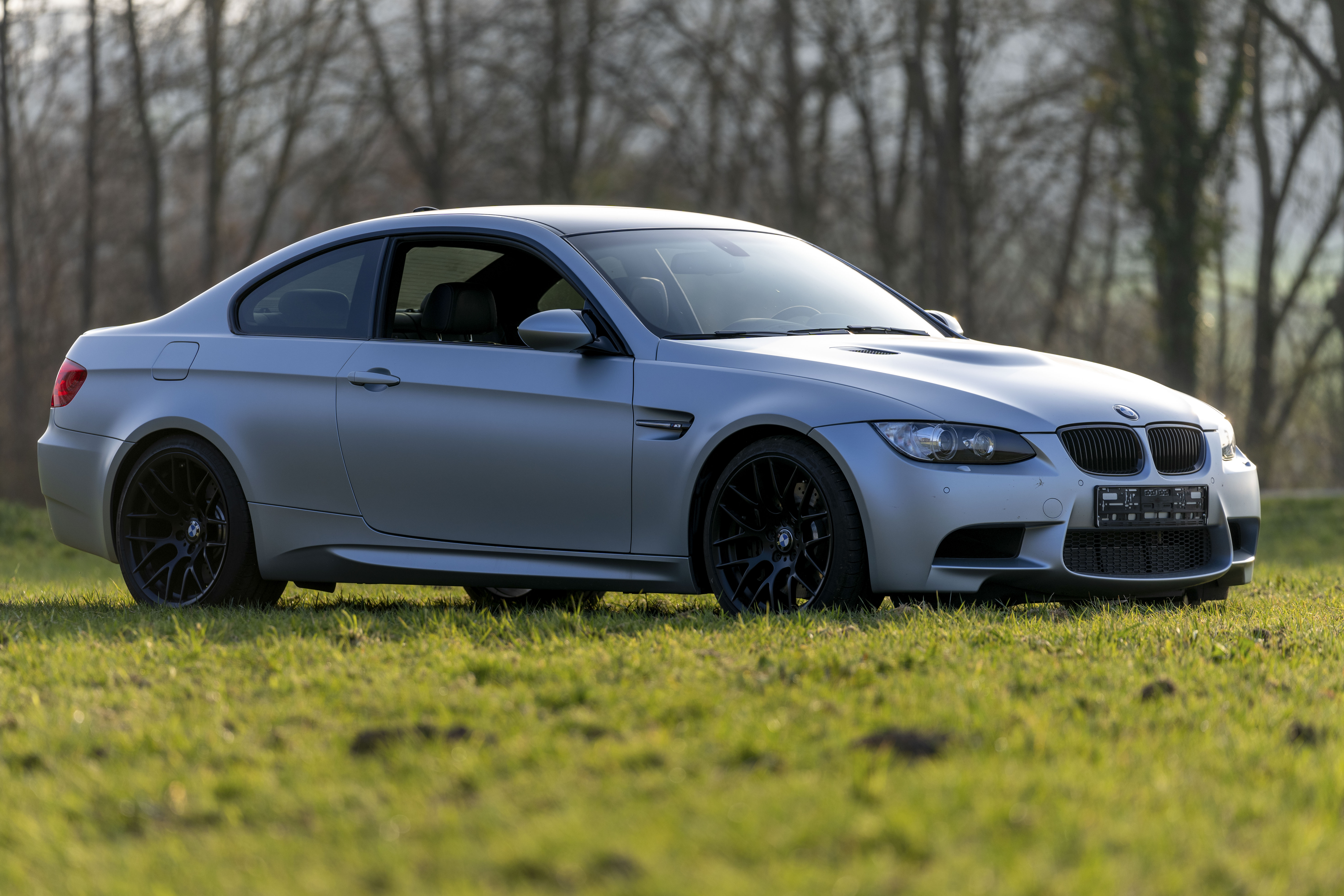 image of diverse wildlife in their natural habitats