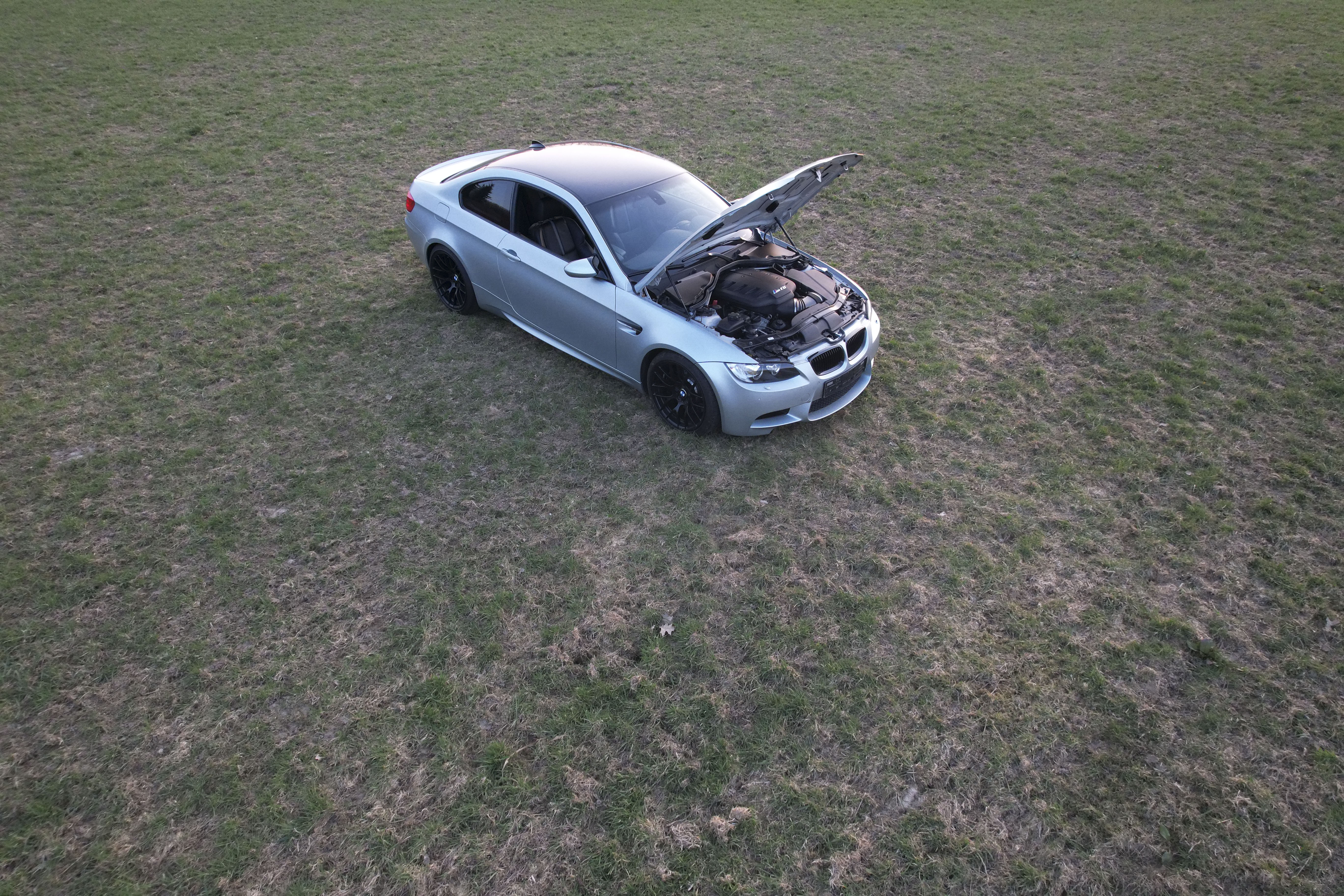 image of peaceful animal sanctuary