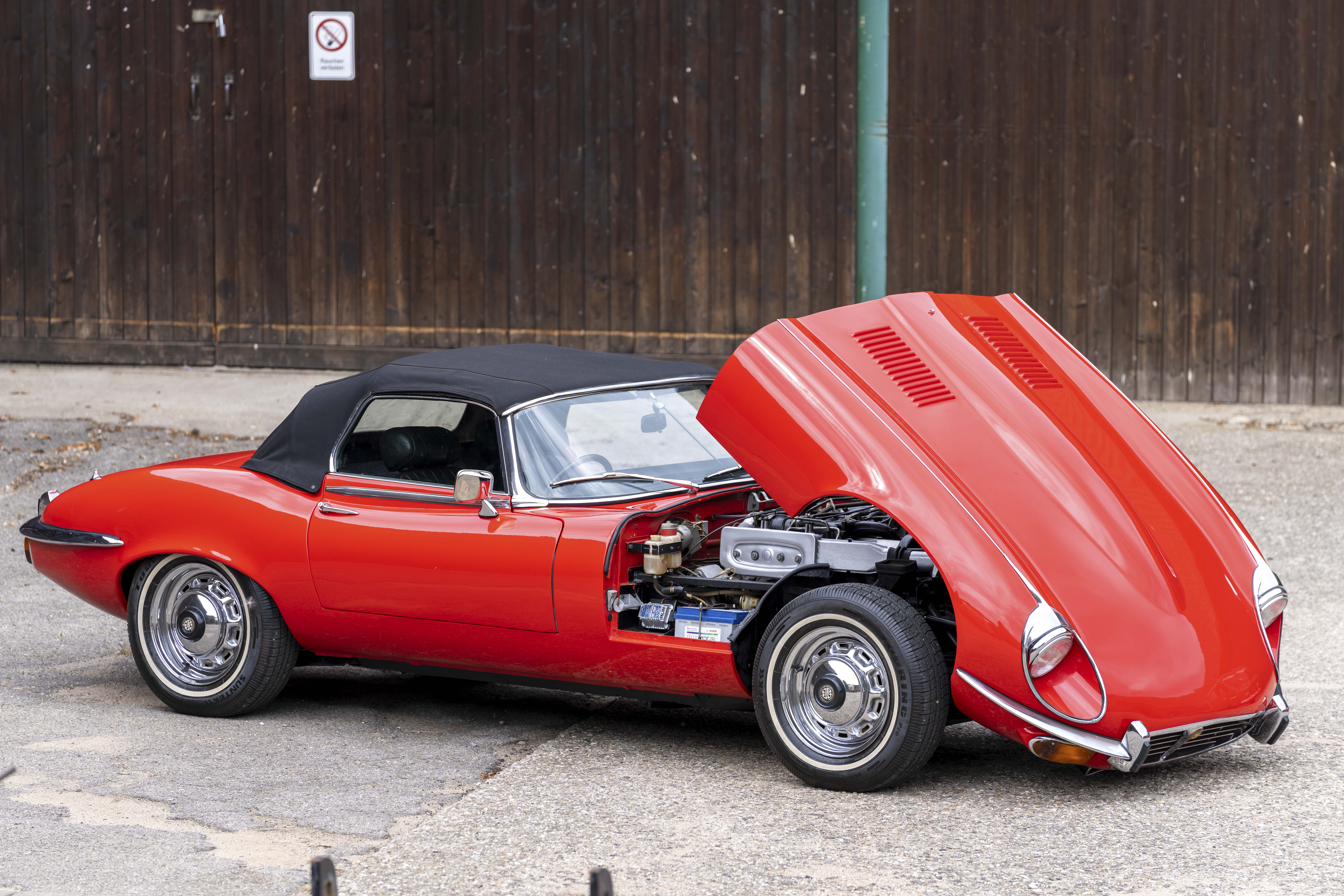 image of educational workshops in progress (for a environmental conservation nonprofit)