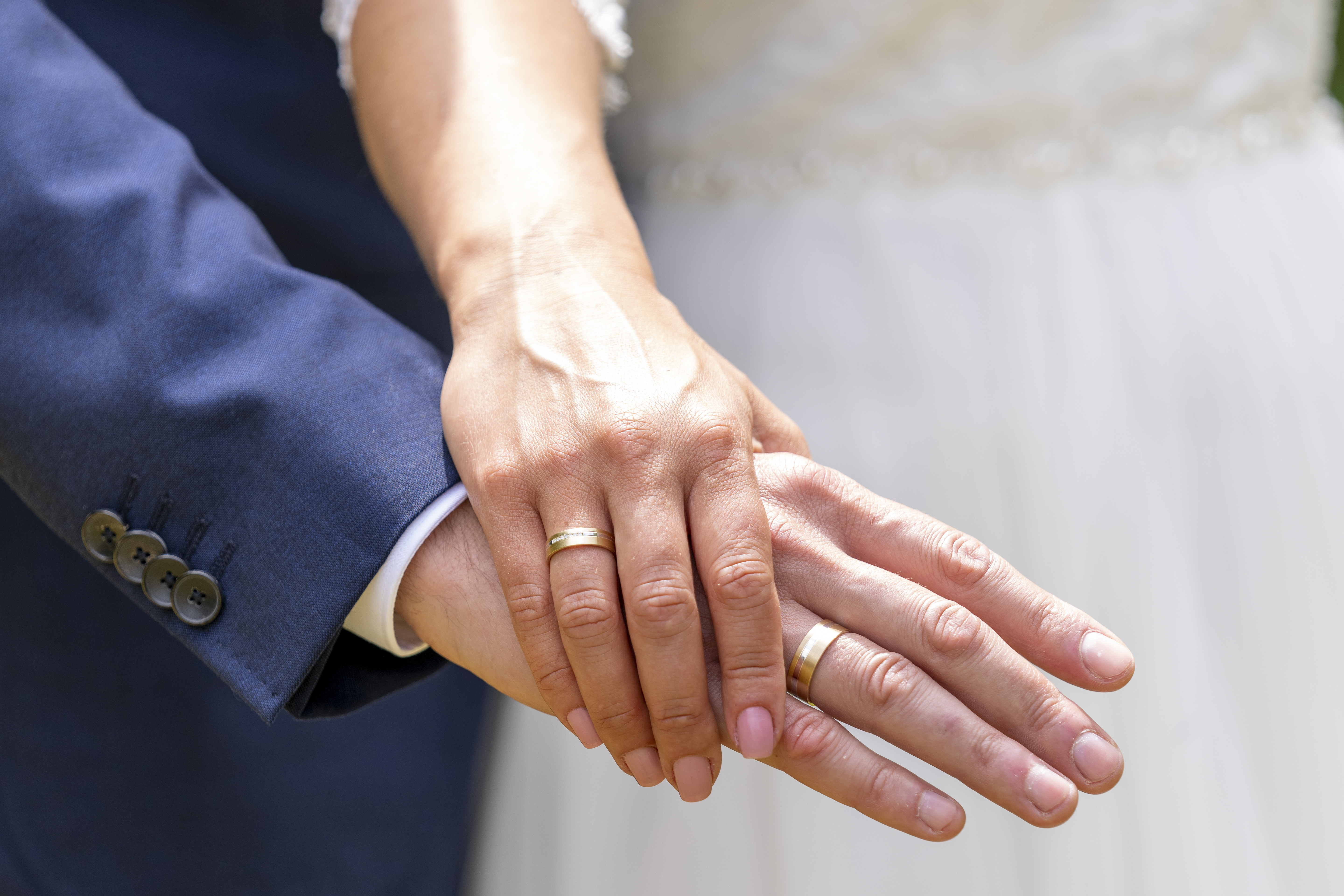 background image of wildlife reserve