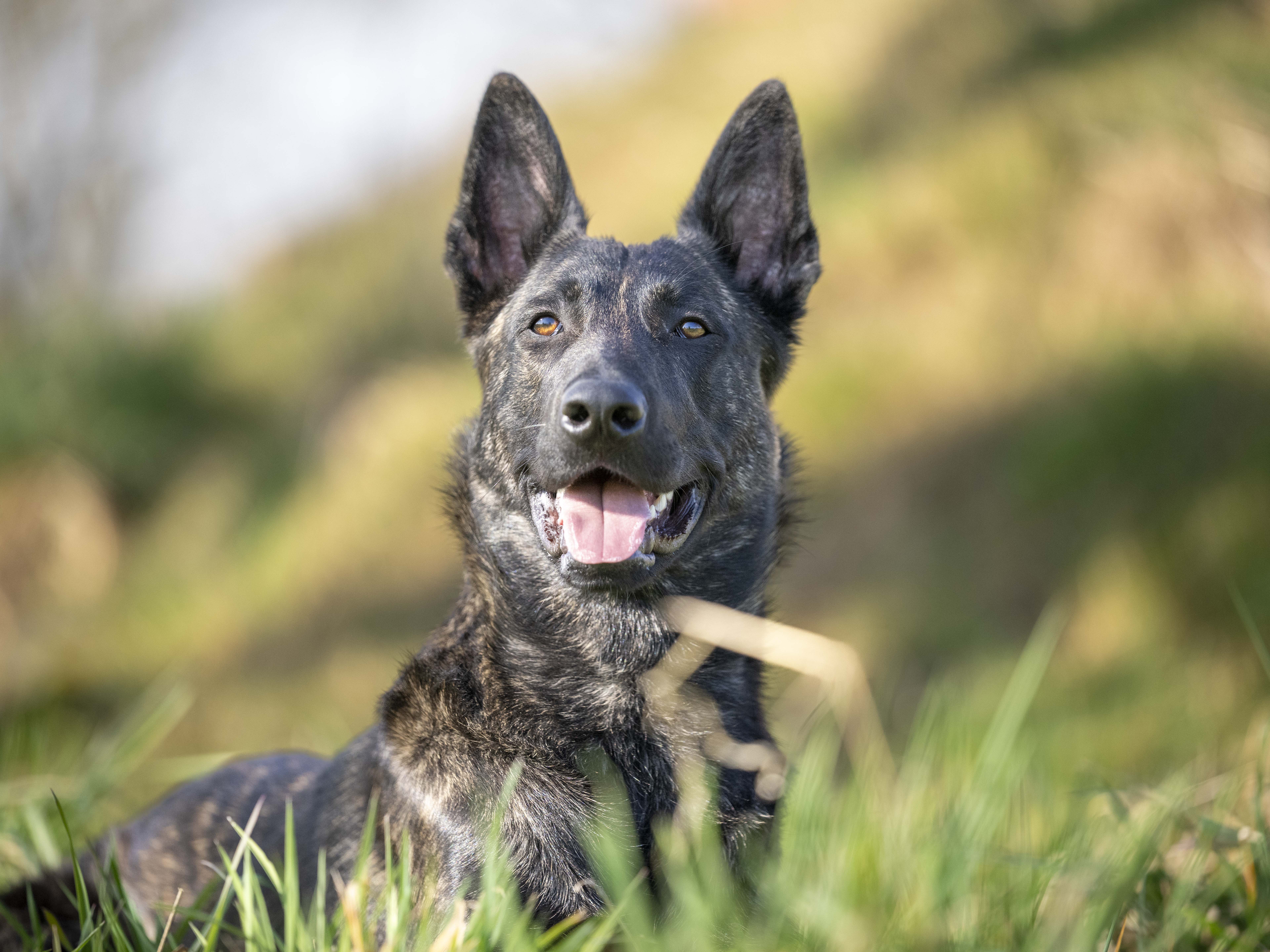 image of educational workshops in progress (for a environmental conservation nonprofit)