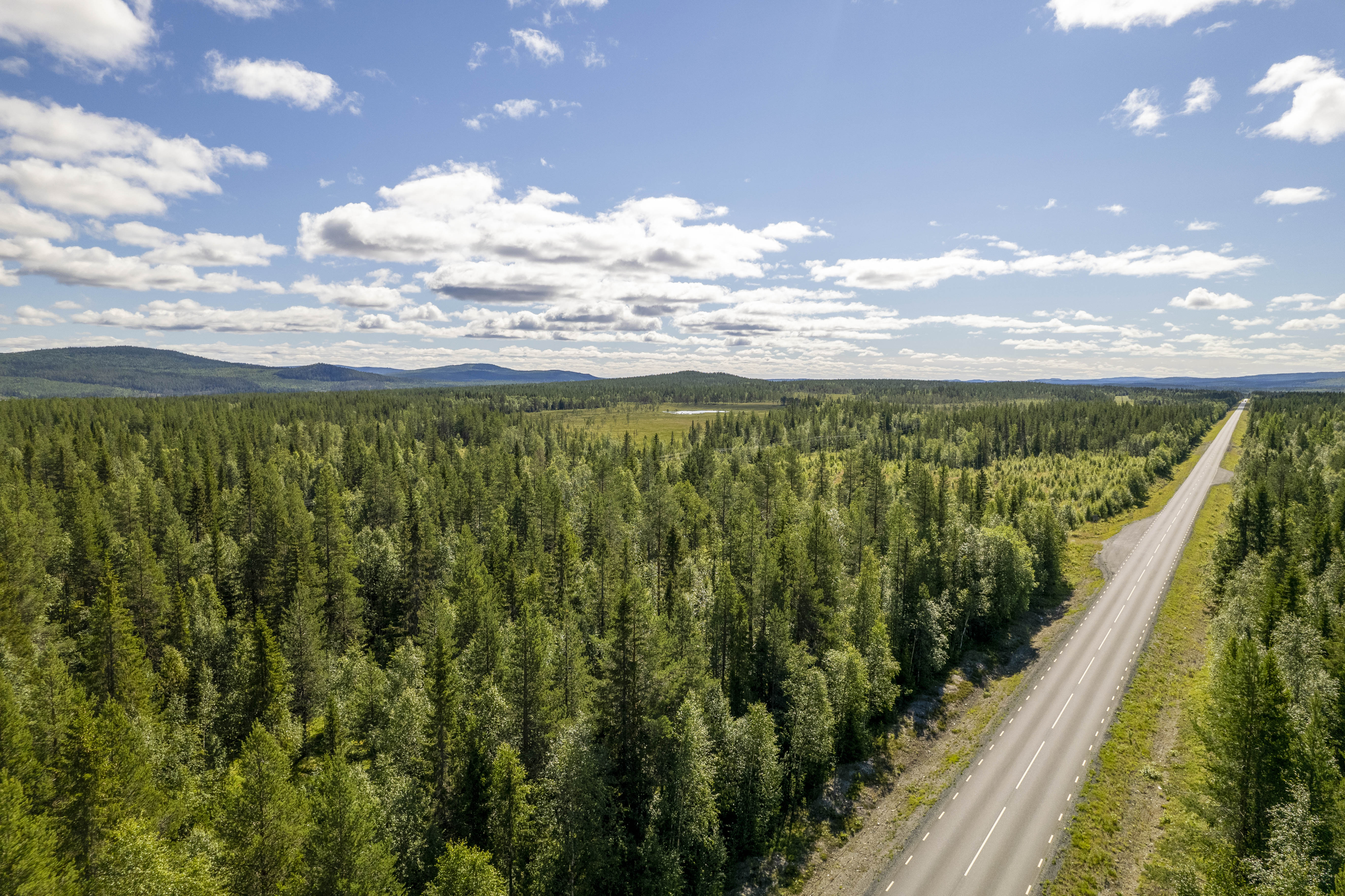 Drohnenfoto von einem Wald mit Bergen und Straße