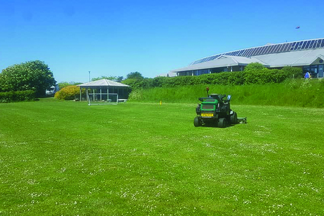 garden maintenance dorset