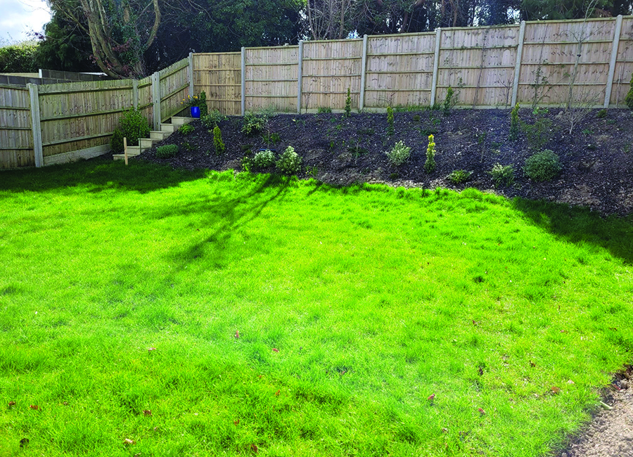 garden services dorset