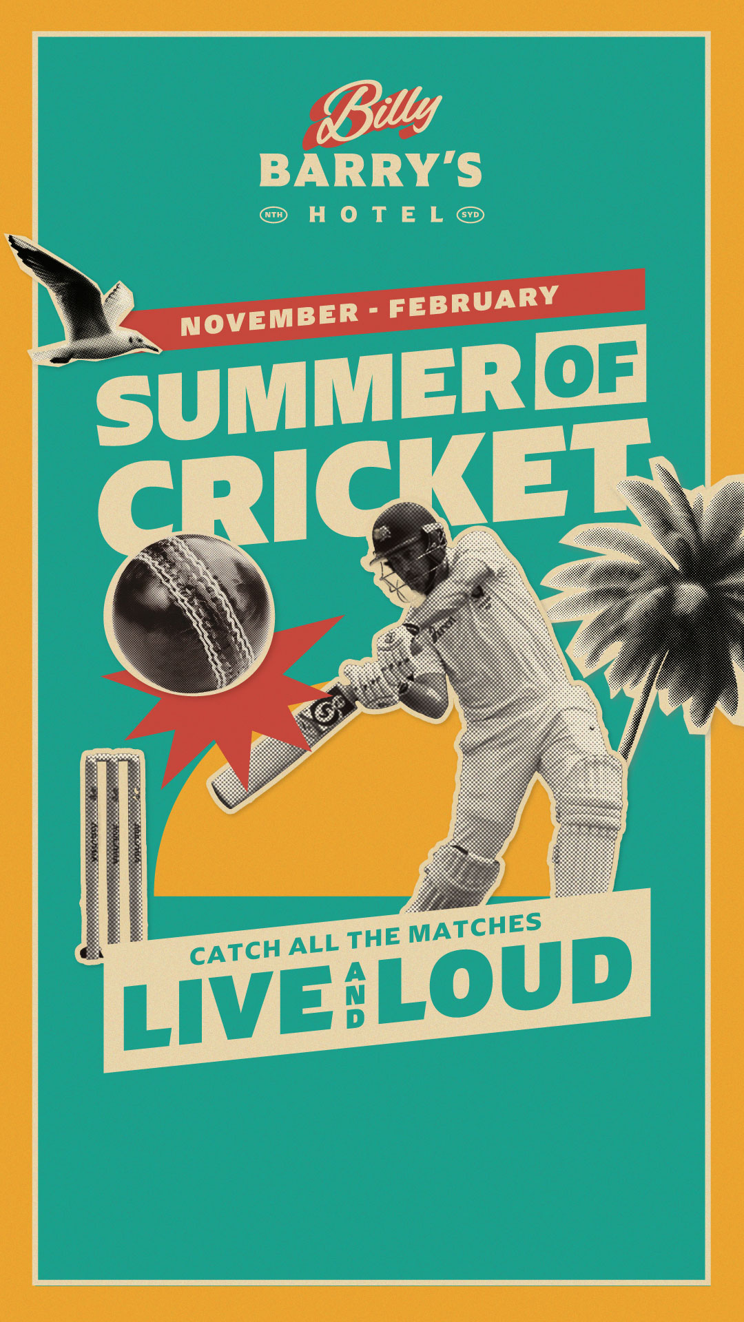 Summer of Cricket