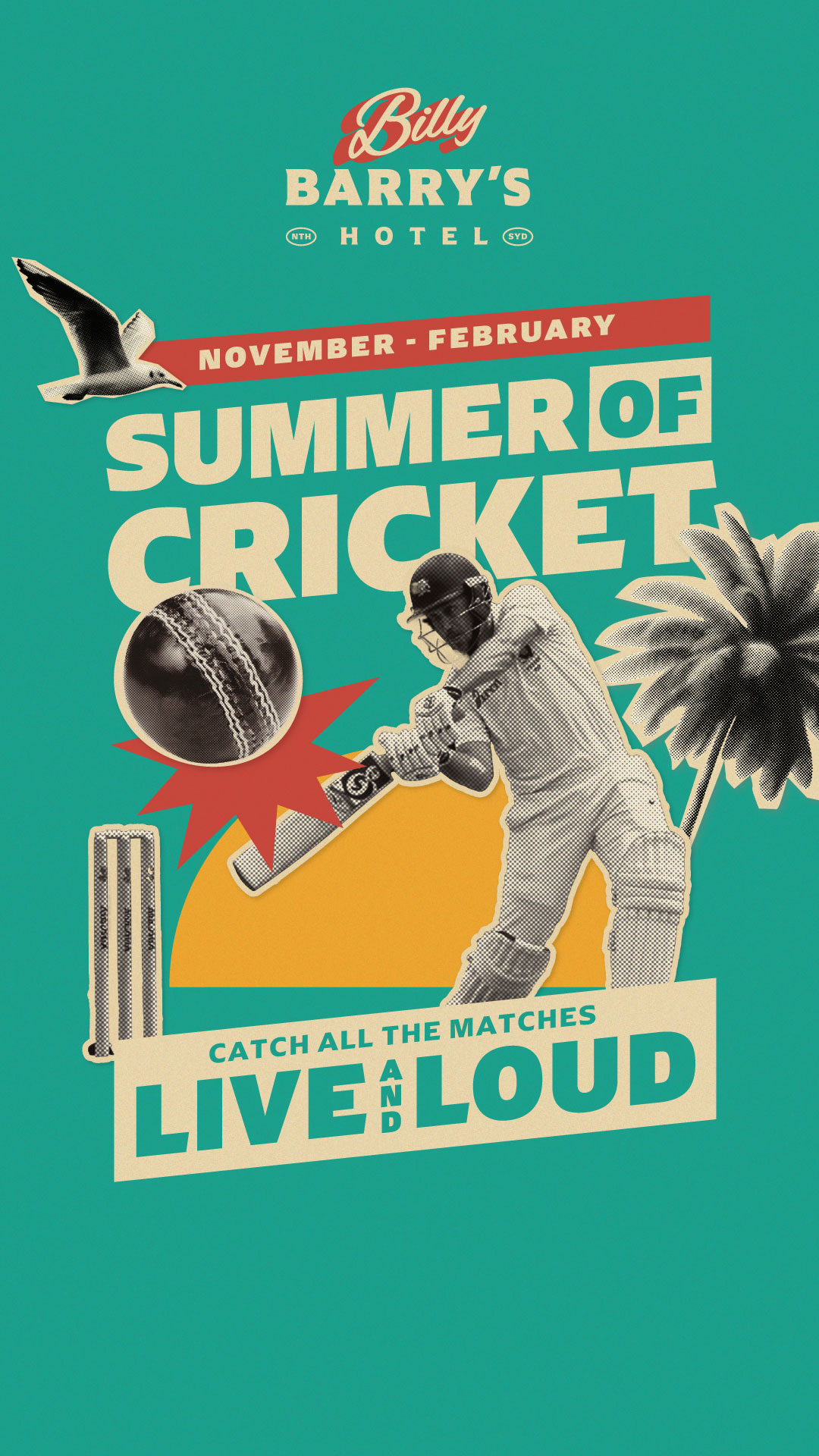 Summer of Cricket