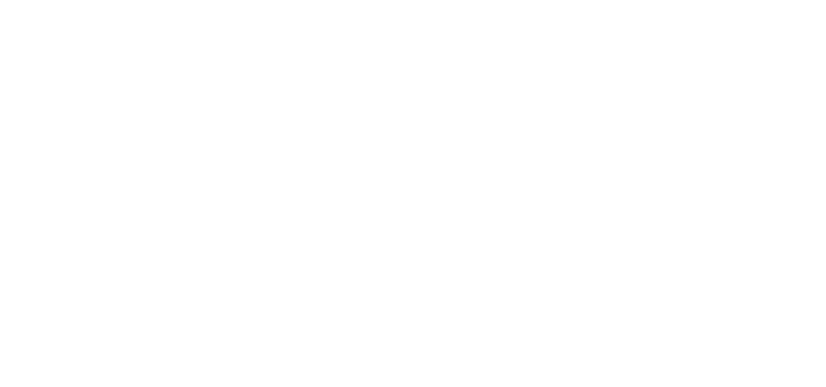 femtis Logo