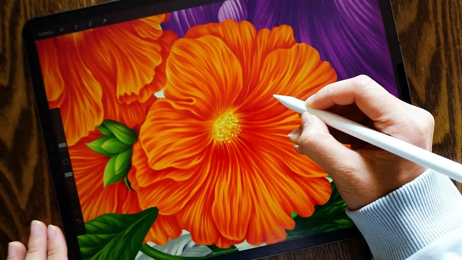 Procreate classes