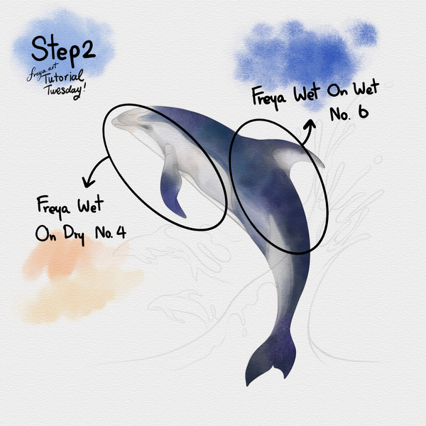 Freya.art Dolphin Tutorial for Procreate using Freya's Ultimate Watercolor Brushset_Step 2
