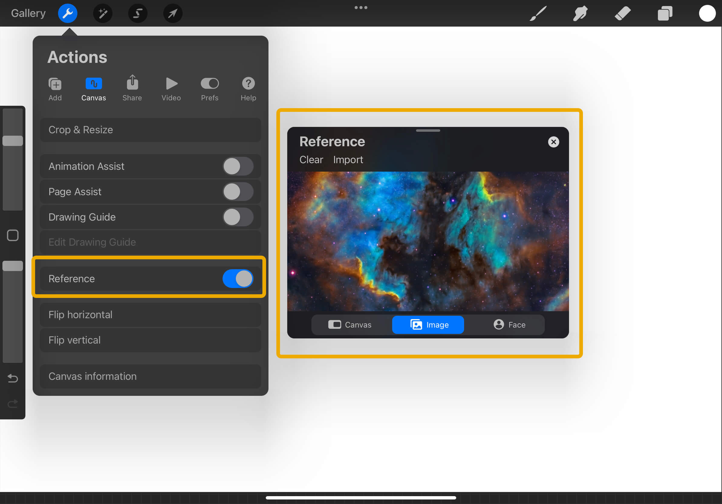 Procreate Beginner Tips : How to use reference