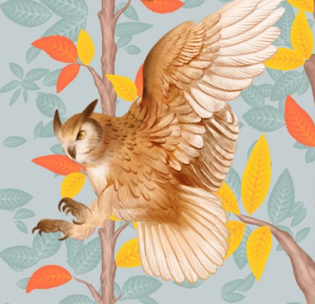 Watercolor Owl Tutorial for Procreate‍