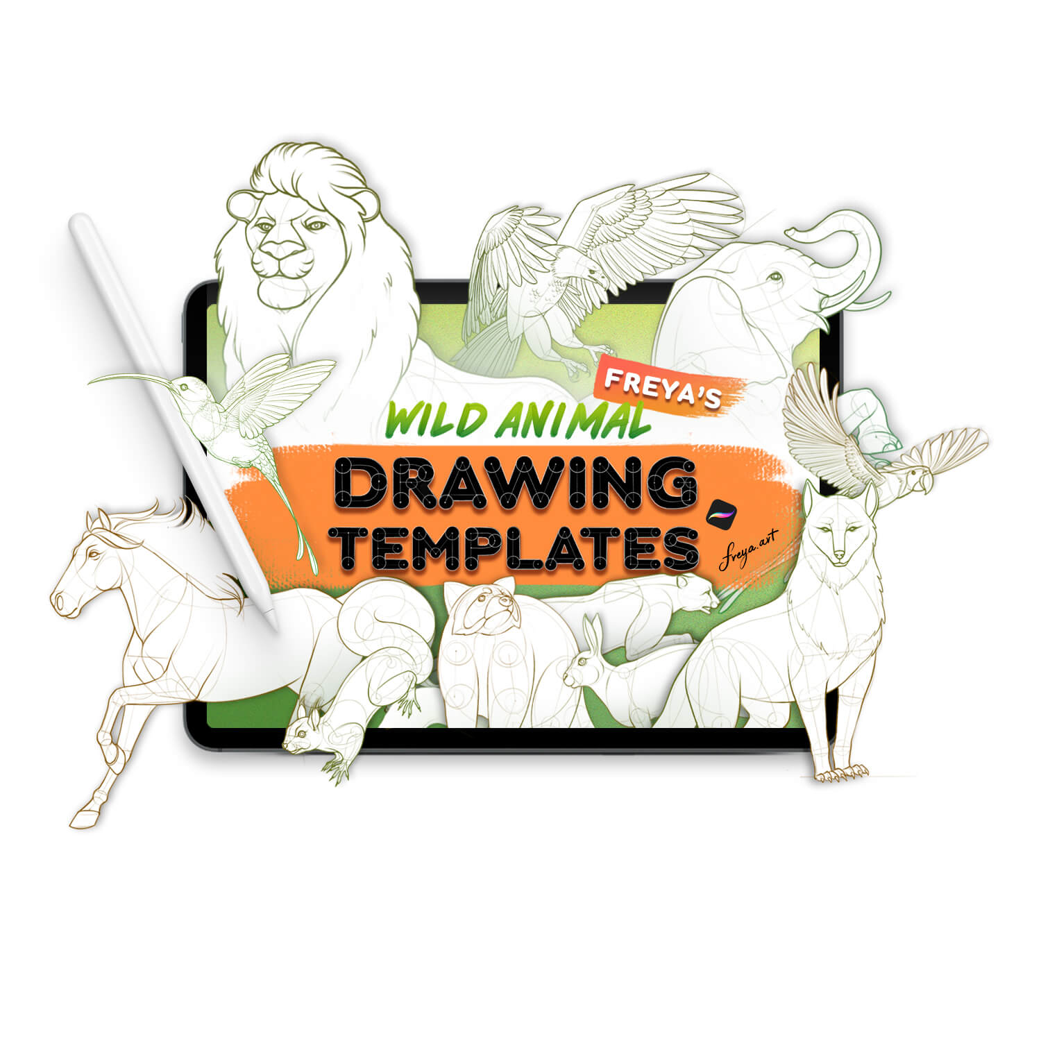 Freya's Wild Animal Drawing Templates