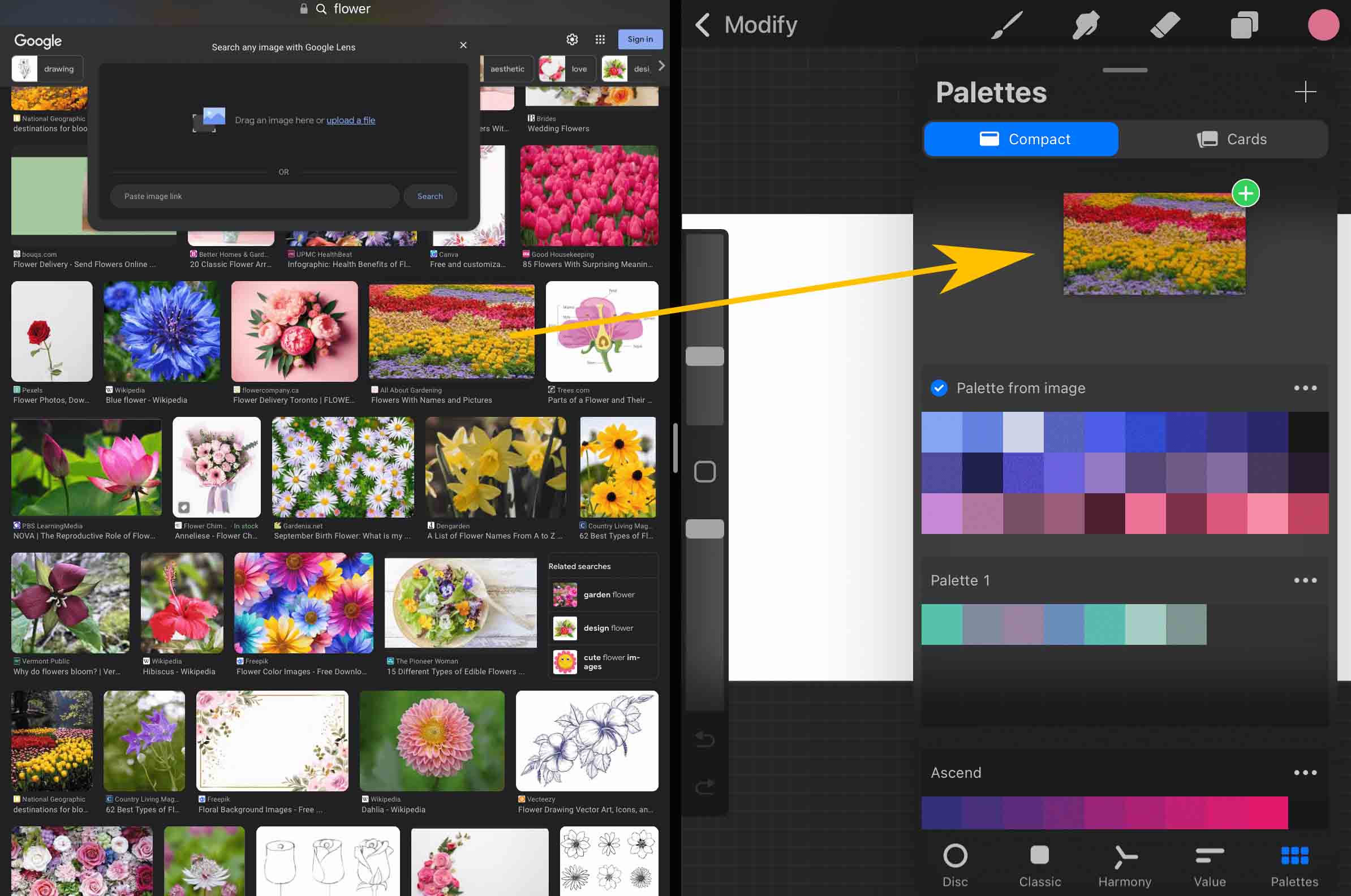 Color palette from images from web