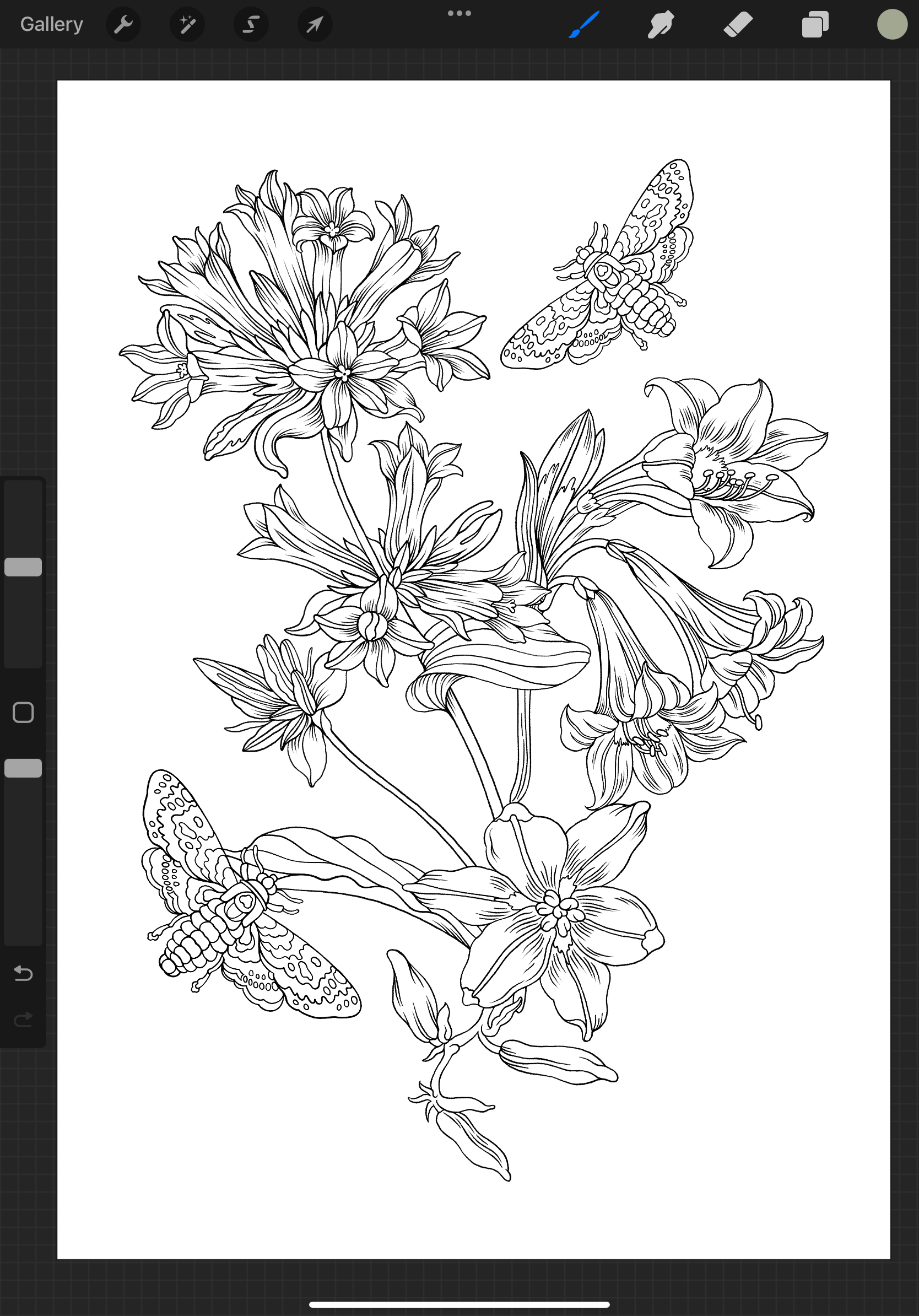 A coloring page with Flowers and Moth