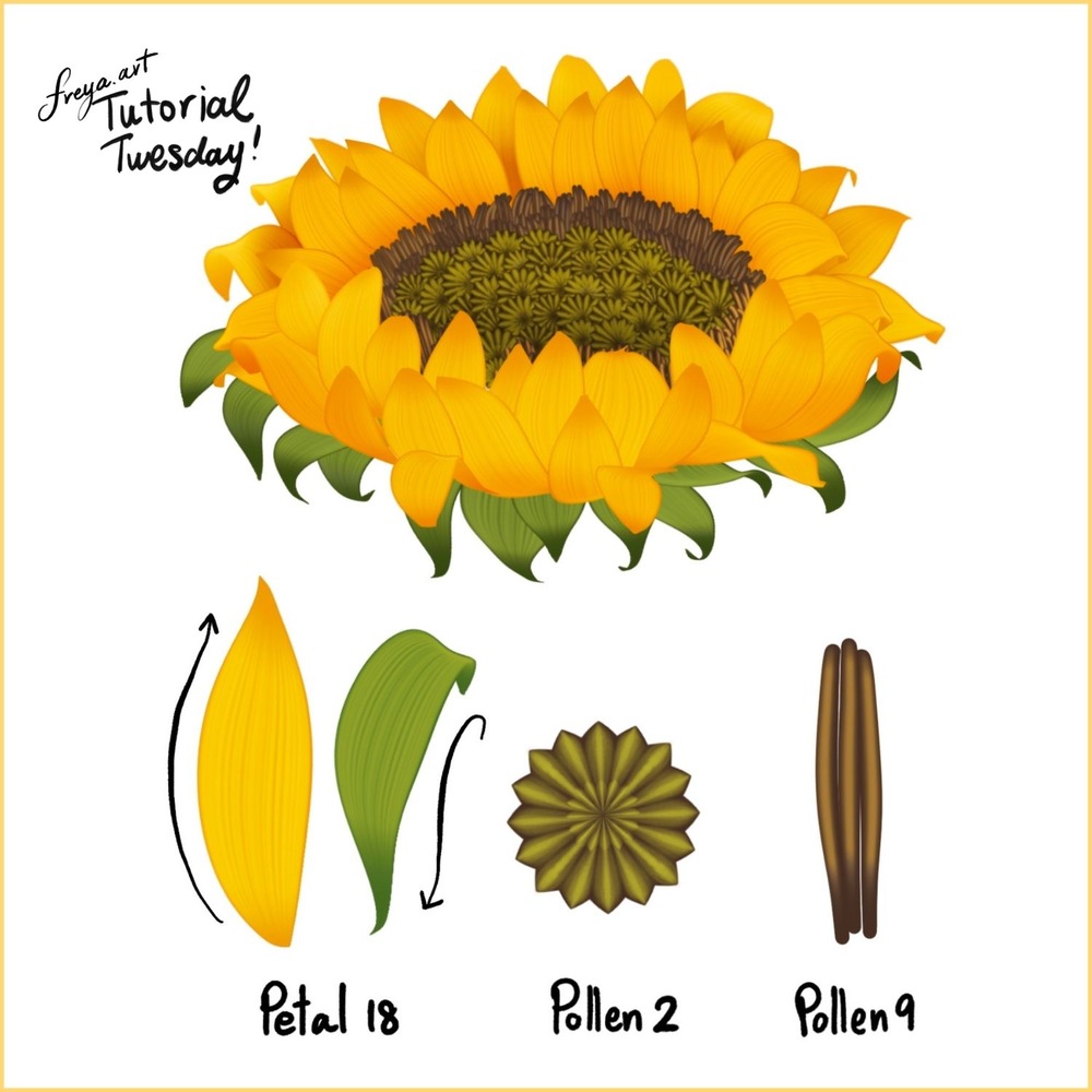 Effortless Sunflower Brushes Used
