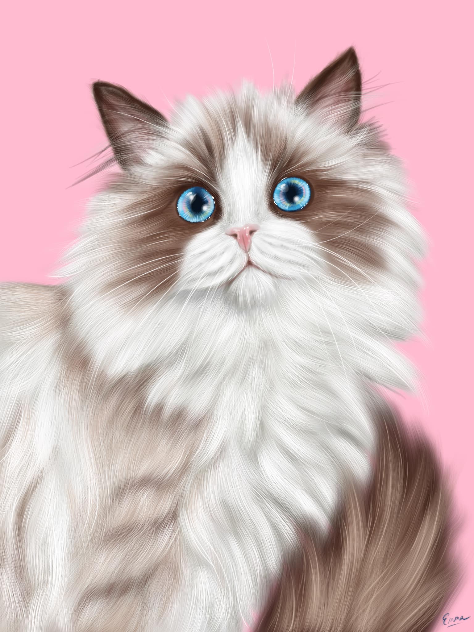 No photo description available.