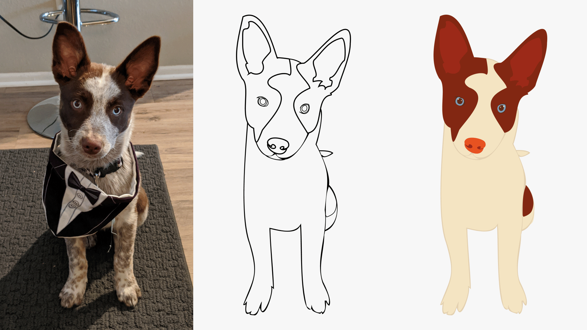 Three-stage illustration process of Queso: original photo, refined sketch, and final colored vector version.