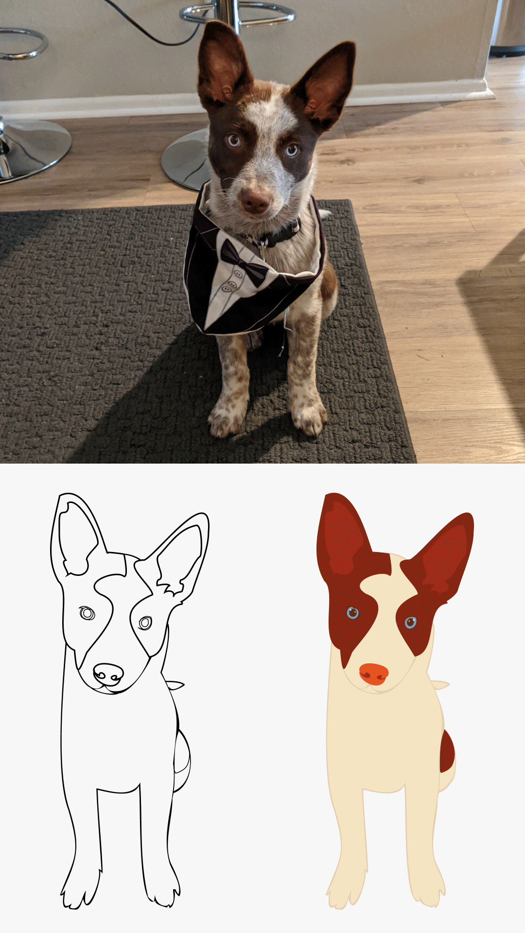 Three-stage illustration process of Queso: original photo, refined sketch, and final colored vector version.