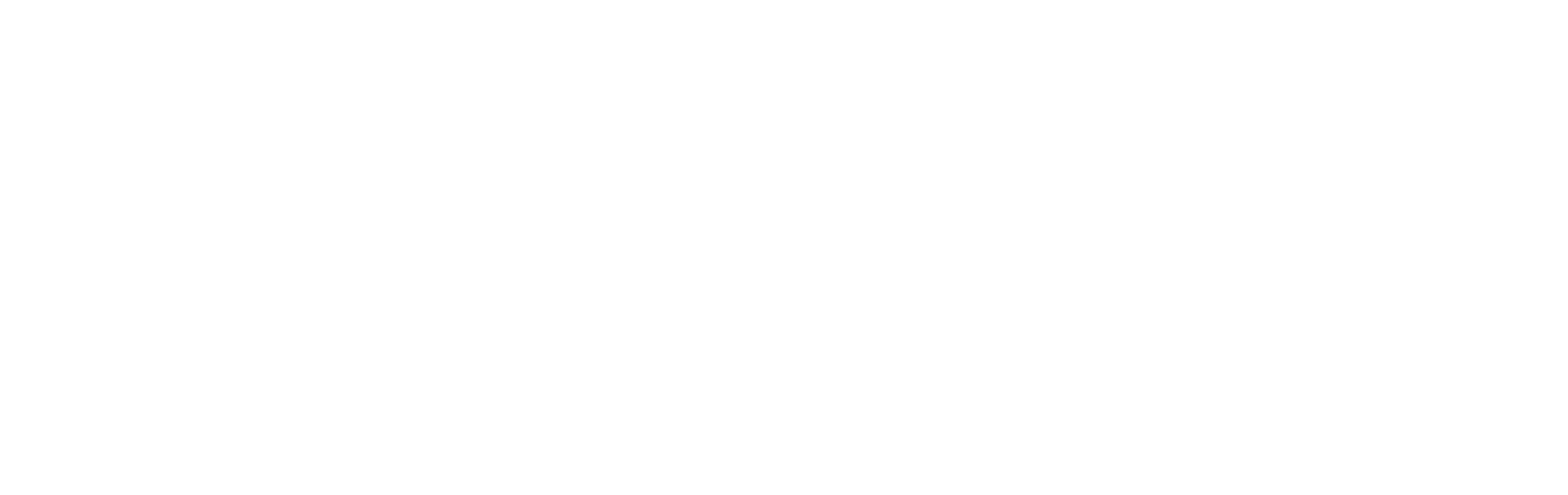 Pixel Maniacs Logo