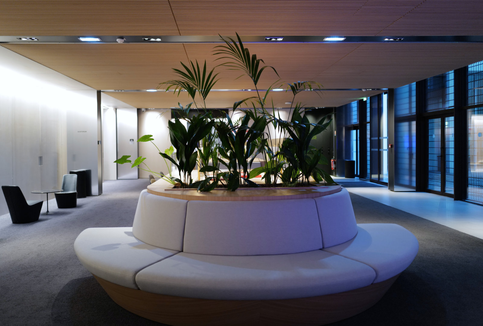Espace d’accueil du Studio Vendôme Saint-Honoré à Paris, avec assise circulaire et plantes vertes au centre.