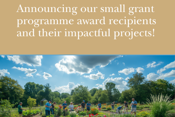 Announcing our Small Grant Programme awards