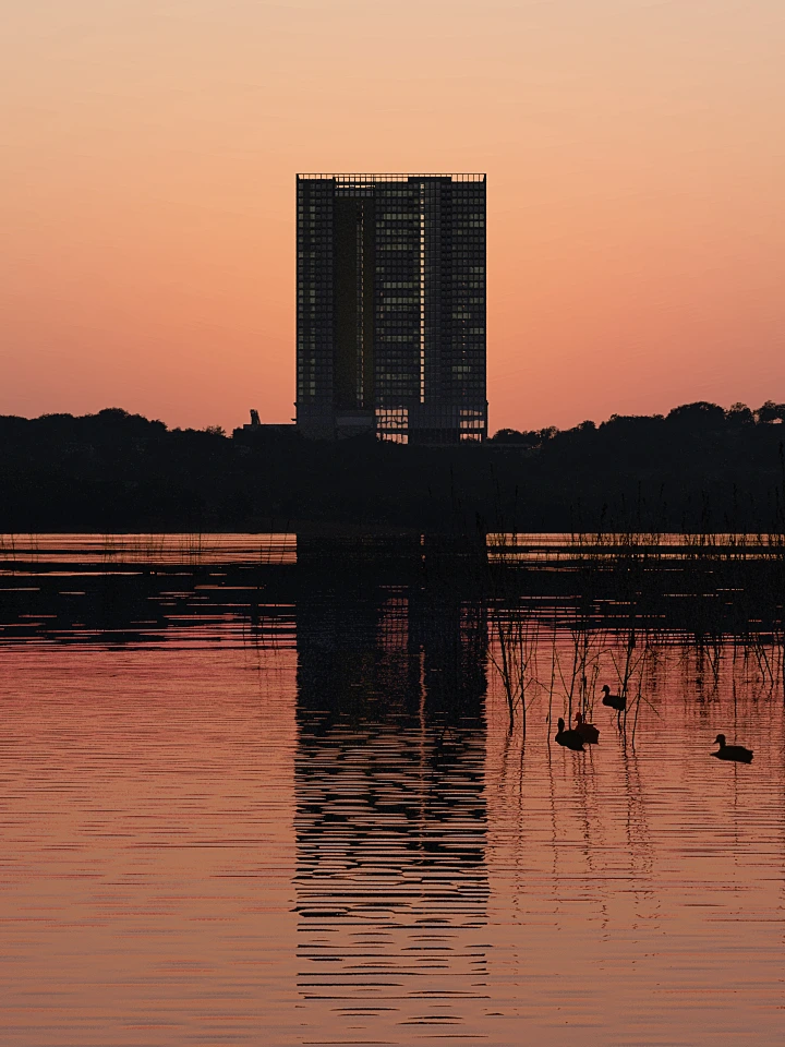 Silhouette of a tall building and trees reflected in calm water during an orange sunset with ducks swimming near reeds.