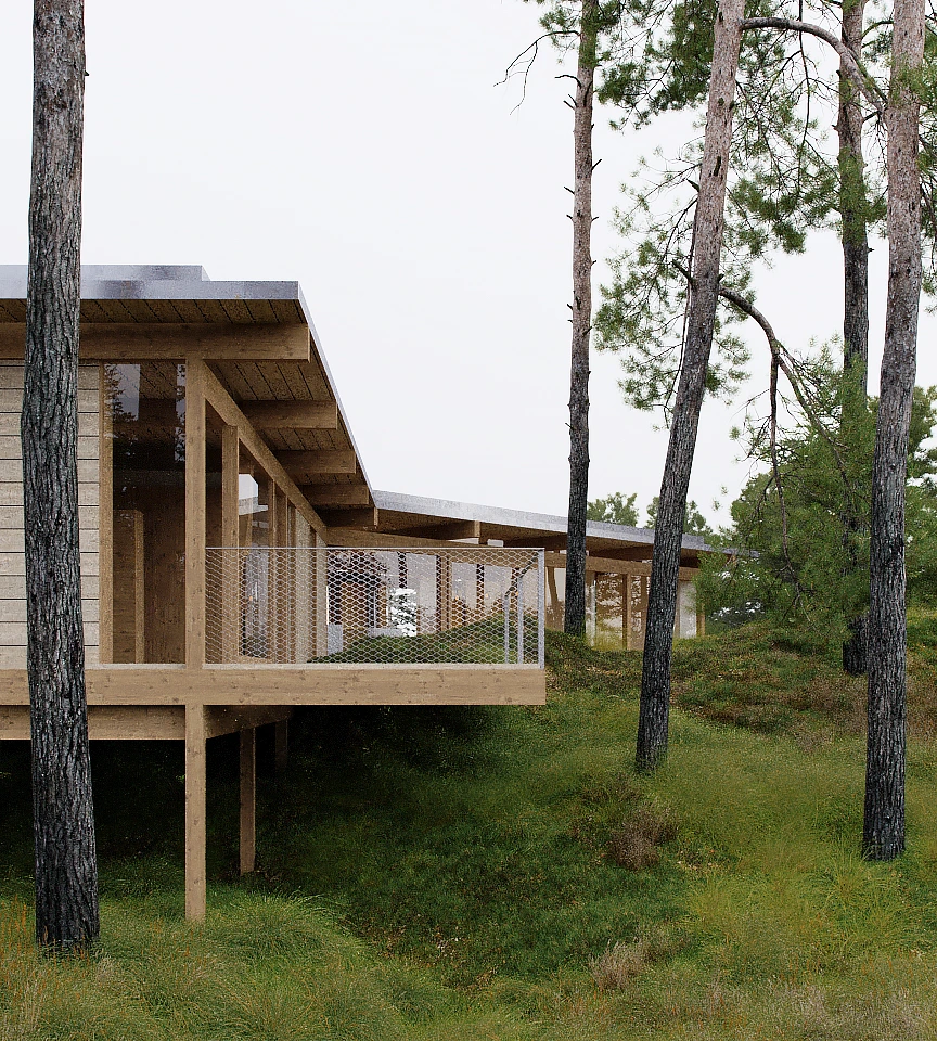 Modern wooden house elevated on stilts surrounded by tall pine trees and green grass.