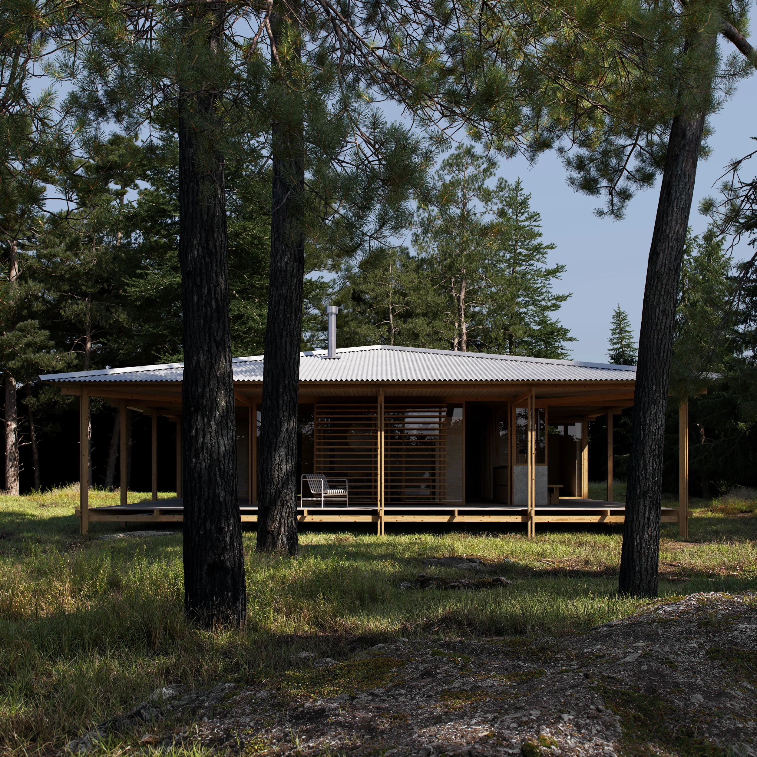 Modern wooden cabin with a corrugated metal roof surrounded by pine trees in a grassy clearing.