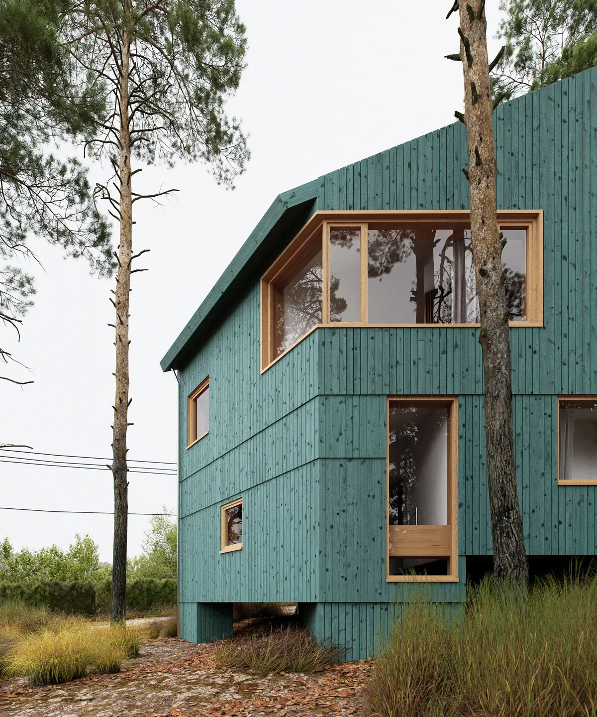 Modern two-story house clad in teal wood siding with large corner and vertical windows, surrounded by tall trees and dry grass.