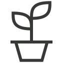 Simple black line icon of a small plant with two leaves growing in a pot.