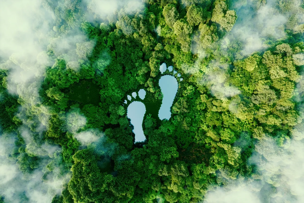 Aerial view of a green forest with two ponds shaped like human footprints surrounded by mist.