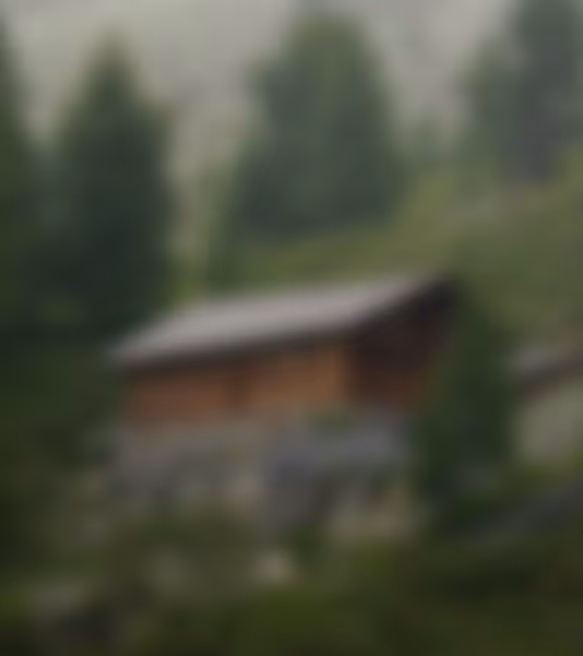 Unscharfes Bild einer Holzhütte auf einem bewaldeten Hügel.