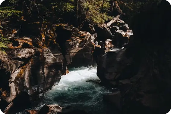 A fast-flowing river or stream rushing through a narrow rocky gorge surrounded by dense forest.