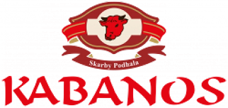 Skarby Podhala logo 