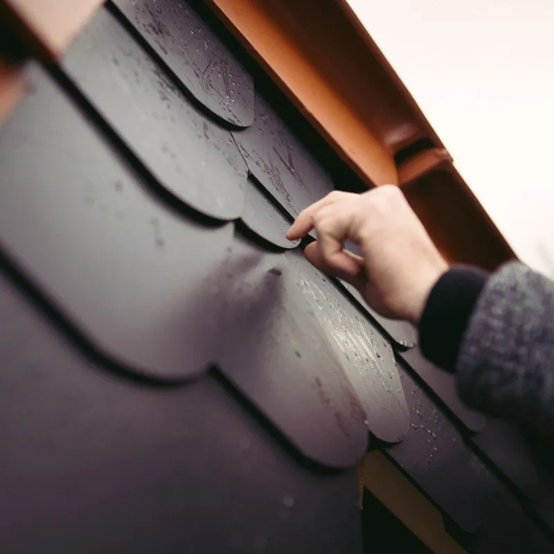 Hand hebt eine sich hebende schwarze Dachschindel zur Inspektion an.