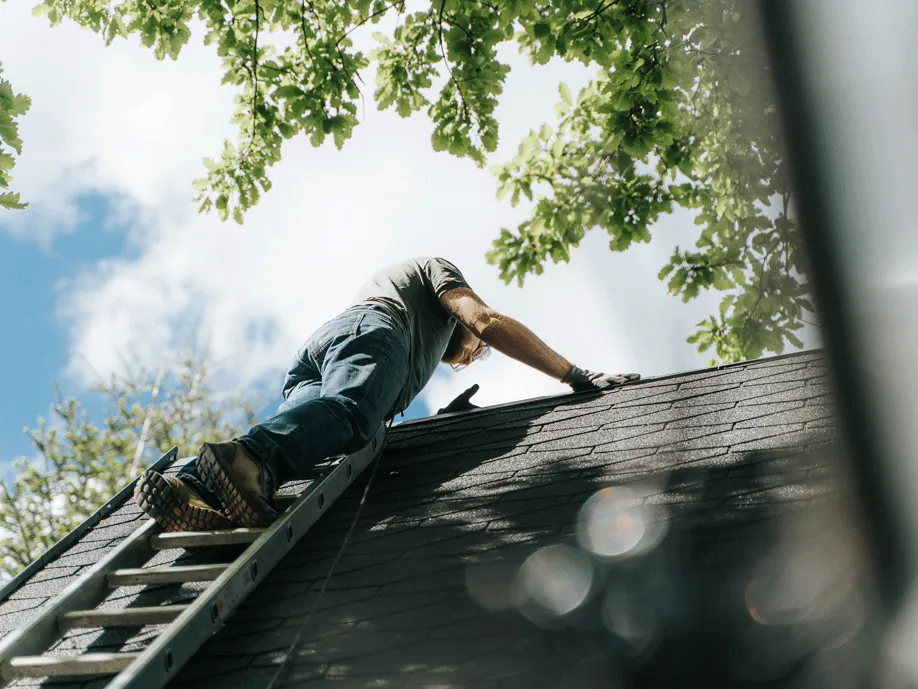 Person klettert eine Leiter hinauf und inspiziert ein Dach unter blauem Himmel mit grünen Blättern.