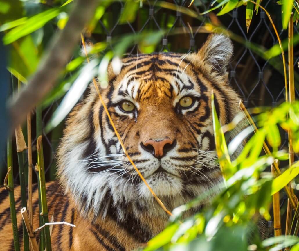 Allwetterzoo Münster