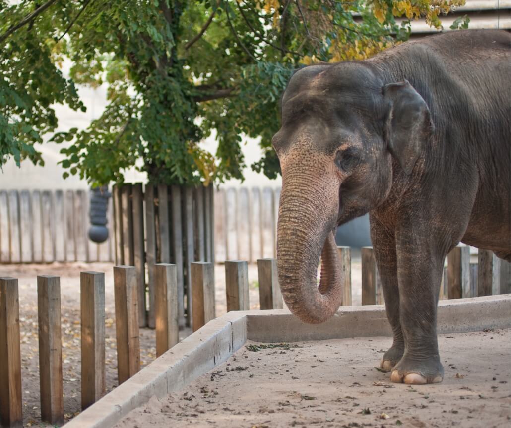 Allwetterzoo Münster